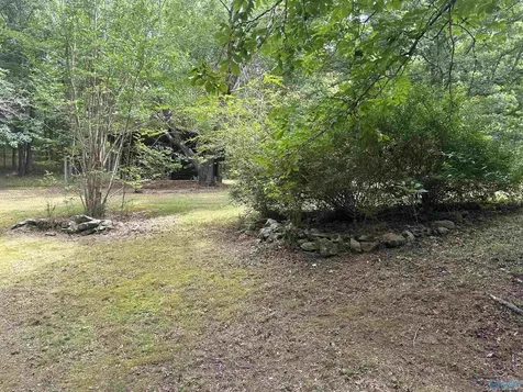 1982 County Road 106 Mentone AL 35984