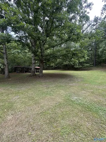 1982 County Road 106 Mentone AL 35984