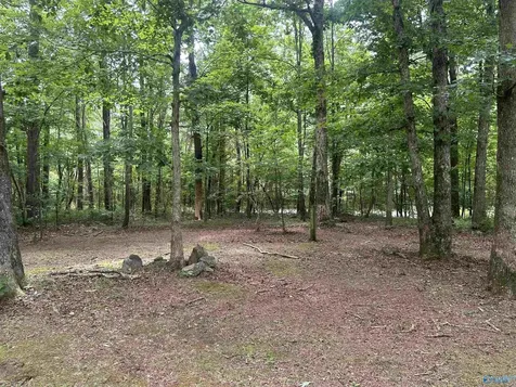 1982 County Road 106 Mentone AL 35984