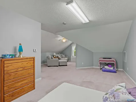 5519 Cedar Mill Drive Guntersville AL 35976