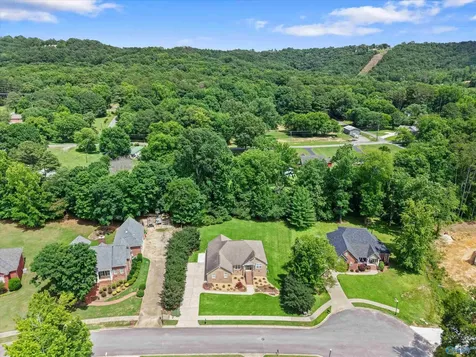 5519 Cedar Mill Drive Guntersville AL 35976