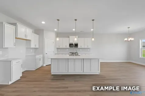 20902 English Ivy Lane Athens AL 35611