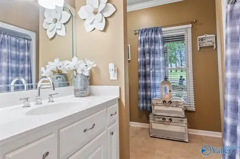 1304 Cardessa Lane Grant AL 35747