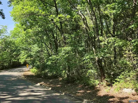 31 Lots Mathis Mountain Road Huntsville AL 35803