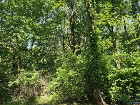 31 Lots Mathis Mountain Road Huntsville AL 35803