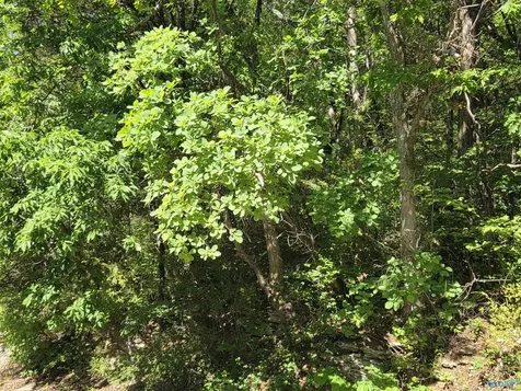 31 Lots Mathis Mountain Road Huntsville AL 35803