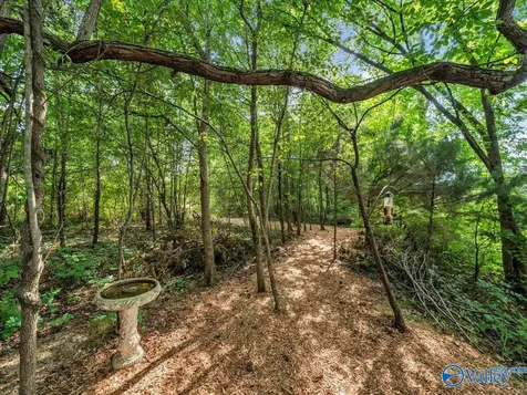 26 Cobbs Cove Way SE Huntsville AL 35803