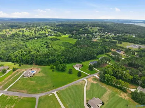 198 Worthington Lane Guntersville AL 35976