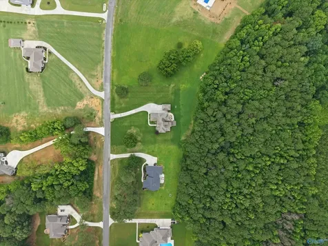 198 Worthington Lane Guntersville AL 35976