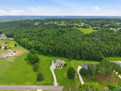 198 Worthington Lane Guntersville AL 35976