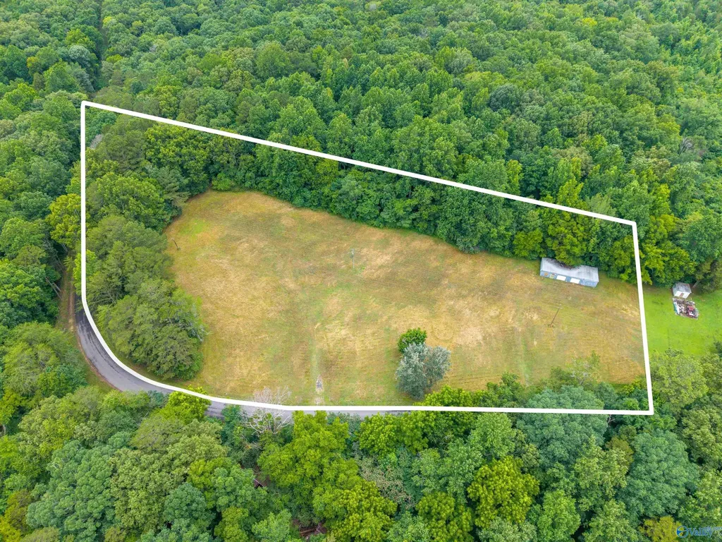 1156 Fish Trap Road Grant AL 35747