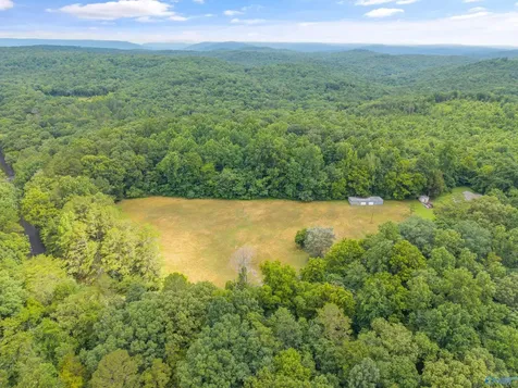 1156 Fish Trap Road Grant AL 35747