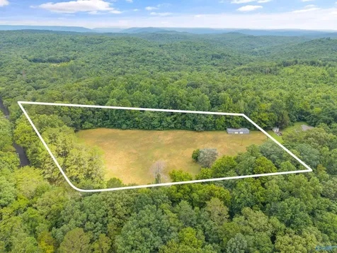 1156 Fish Trap Road Grant AL 35747