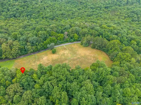 1156 Fish Trap Road Grant AL 35747
