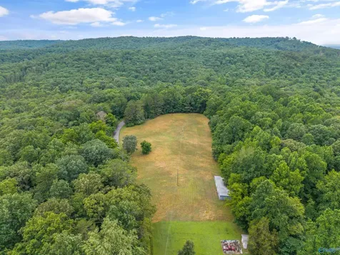 1156 Fish Trap Road Grant AL 35747