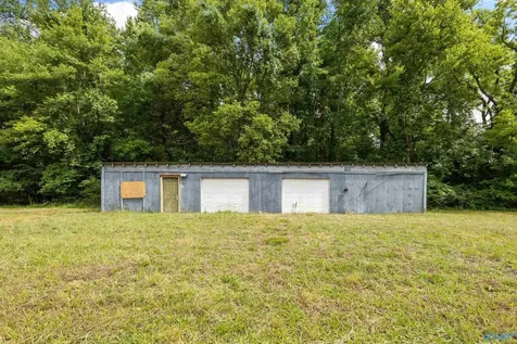 1156 Fish Trap Road Grant AL 35747