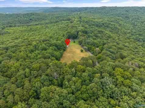 1156 Fish Trap Road Grant AL 35747