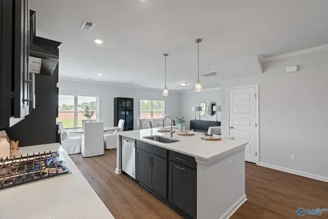 203 Allegro Circle Harvest AL 35749