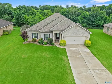 14351 Water Stream Drive Harvest AL 35749