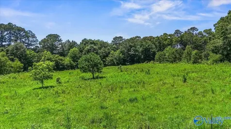 5535 Us Highway 278 E Cullman AL 35055