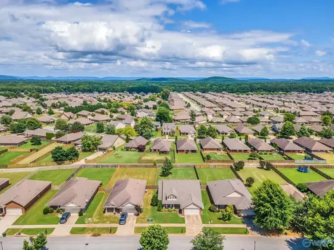 713 River Landing Boulevard SW Madison AL 35756