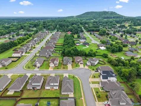 360 Lionel Allen Way Madison AL 35757