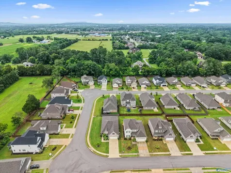 360 Lionel Allen Way Madison AL 35757