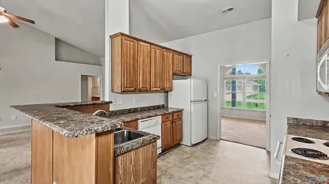 133 Virginia Fern Circle NW Madison AL 35757