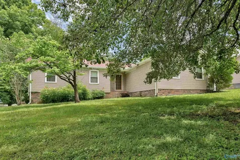 261 Glenview Drive Estill Springs TN 37330