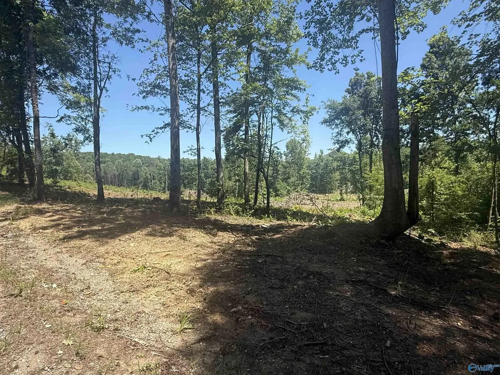 10 Ac Bishop Mountain Road Grant AL 35747