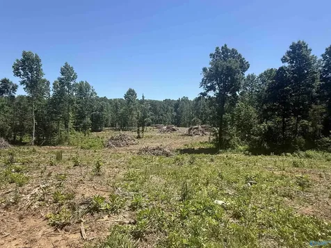 10 Ac Bishop Mountain Road Grant AL 35747