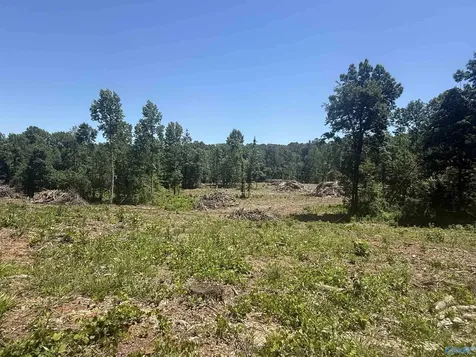 10 Ac Bishop Mountain Road Grant AL 35747