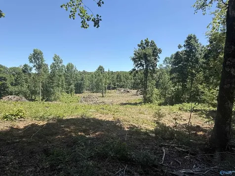 10 Ac Bishop Mountain Road Grant AL 35747