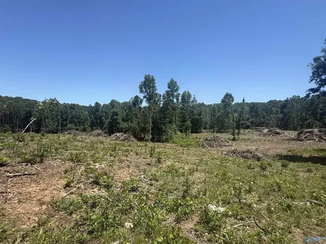 10 Ac Bishop Mountain Road Grant AL 35747