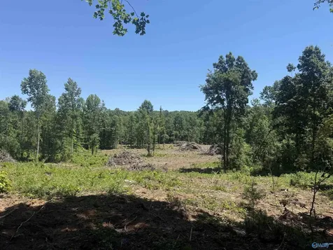 10 Ac Bishop Mountain Road Grant AL 35747