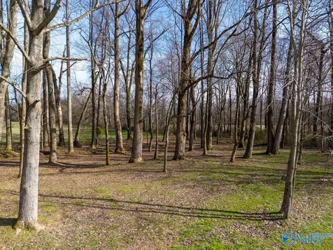 64 S Elliot Road Ardmore TN 38449