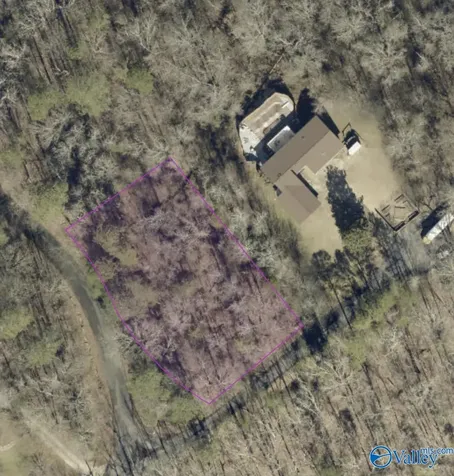 53&54 Bluff View Drive Scottsboro AL 35769