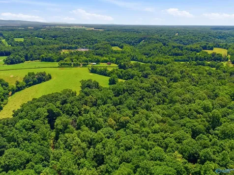 Tract 6 Mann Road Flintville TN 37335