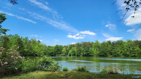 390 Moon Lake Road Mentone AL 35984