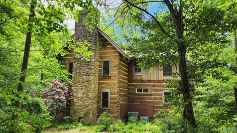 390 Moon Lake Road Mentone AL 35984