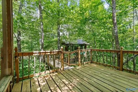 390 Moon Lake Road Mentone AL 35984
