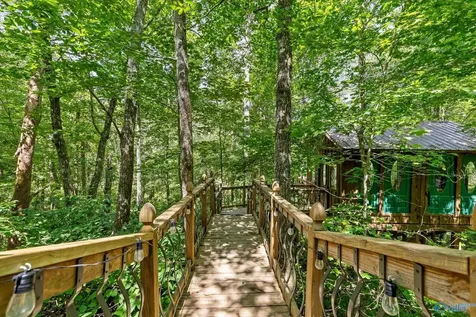 390 Moon Lake Road Mentone AL 35984