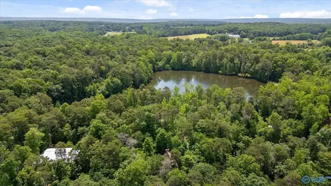 390 Moon Lake Road Mentone AL 35984
