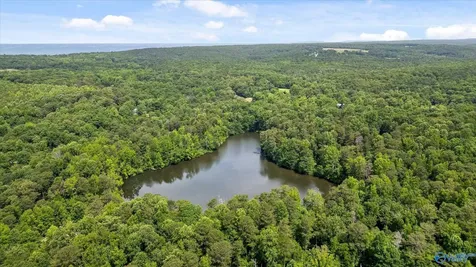 390 Moon Lake Road Mentone AL 35984