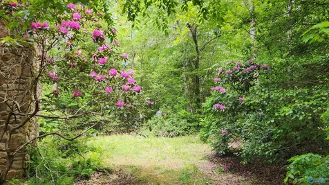 390 Moon Lake Road Mentone AL 35984