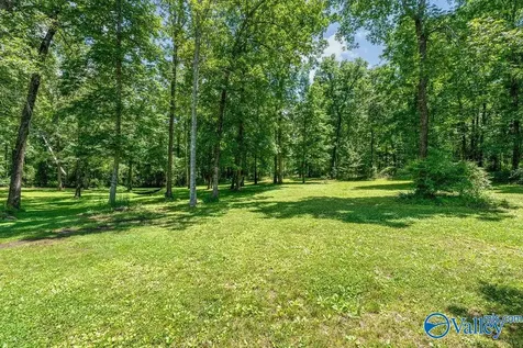 3519 Alabama Highway 117 Mentone AL 35984