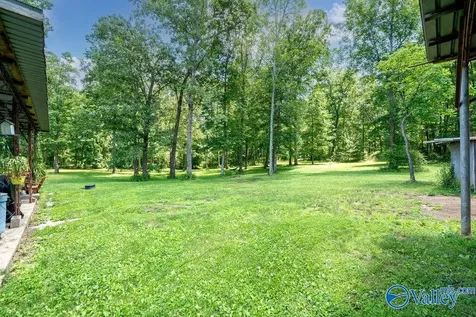 3519 Alabama Highway 117 Mentone AL 35984