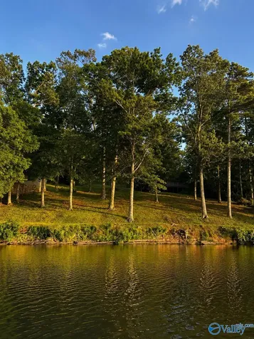 139 Monte Sano Drive Scottsboro AL 35769
