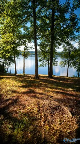 139 Monte Sano Drive Scottsboro AL 35769