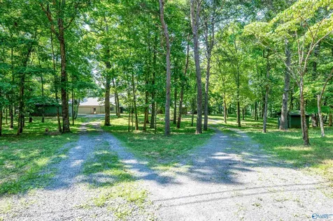 10895 County Road 89 Mentone AL 35984
